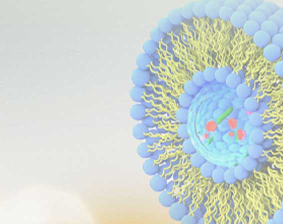Liposomale Nahrungsergänzung