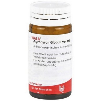 AGROPYRON Globuli velati