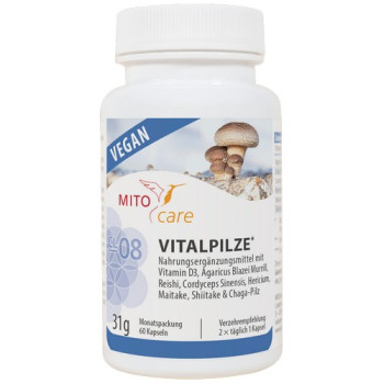 VITALPILZE Kapseln