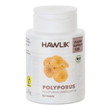 BIO POLYPORUS Pulver Kapseln