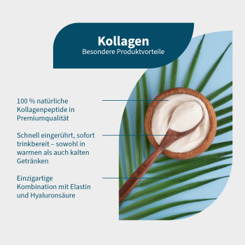 KOLLAGEN+ELASTIN+Hyaluron+Vitamin C Pulver